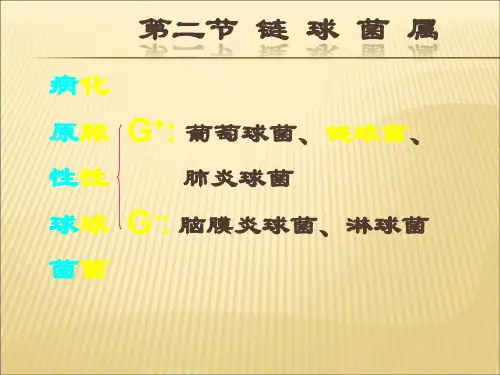 【课件】链球菌下ppt