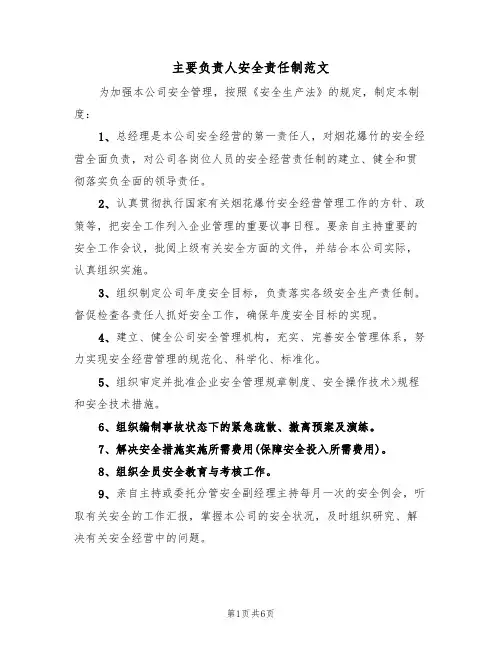 主要负责人安全责任制范文（4篇）