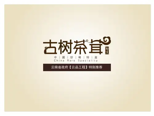 云南名品古树茶茸