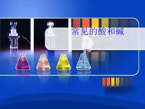 常见的酸和碱PPT课件