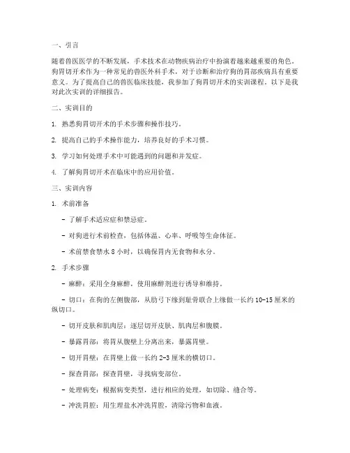 狗胃切开术实训报告