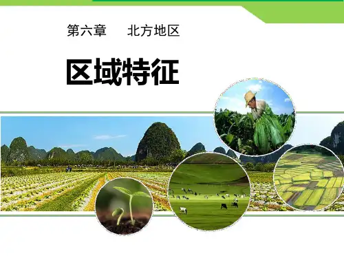 《区域特征》PPT优秀课件
