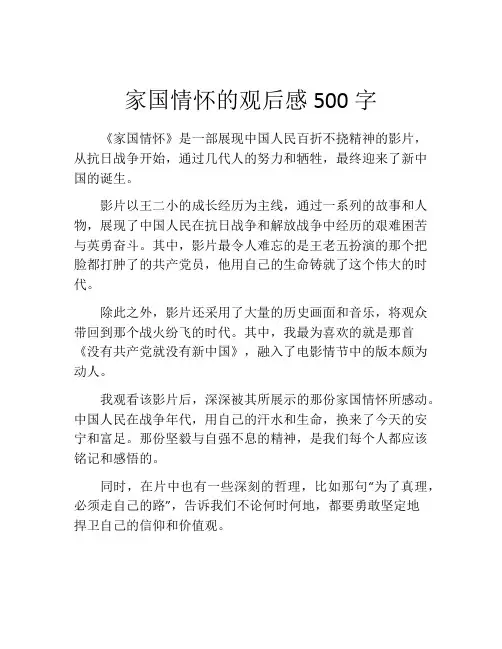 家国情怀的观后感500字
