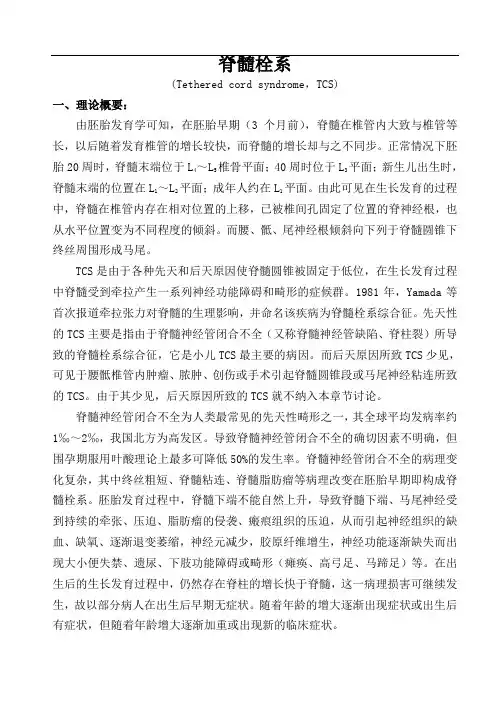 脊髓拴系综合征