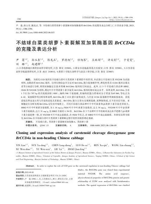 不结球白菜类胡萝卜素裂解双加氧酶基因BrCCD4a_的克隆及表达分析