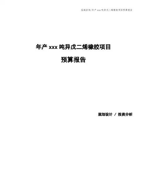 年产xxx吨异戊二烯橡胶项目预算报告