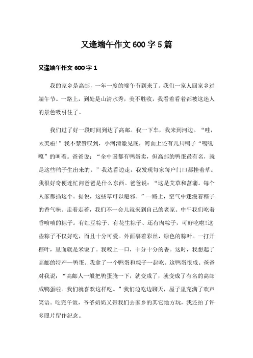又逢端午作文600字5篇
