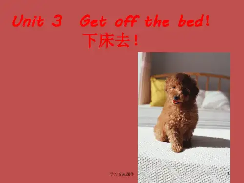新概念青少年版入门级B课件Unit3(ppt课件)