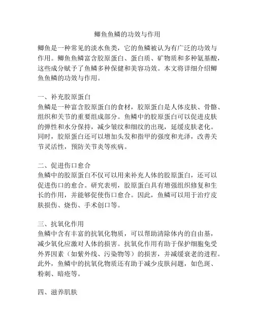 鲫鱼鱼鳞的功效与作用