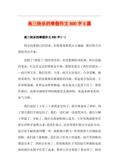 高三快乐的寒假作文800字5篇