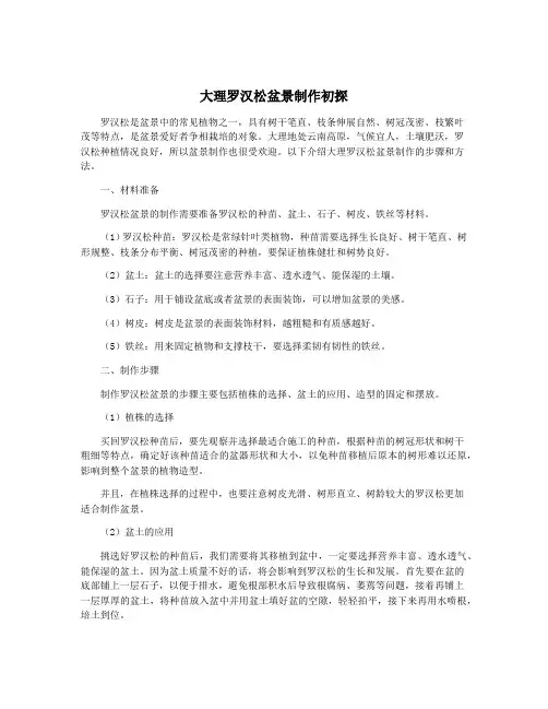 大理罗汉松盆景制作初探