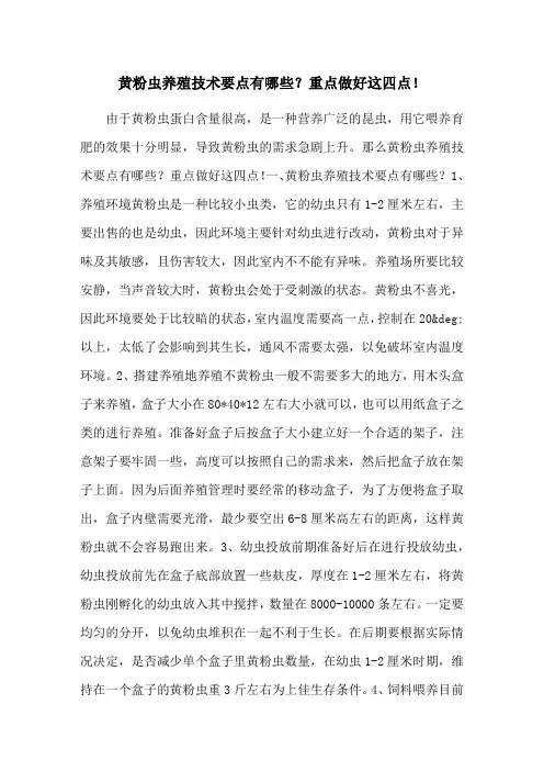 黄粉虫养殖技术要点有哪些？重点做好这四点!