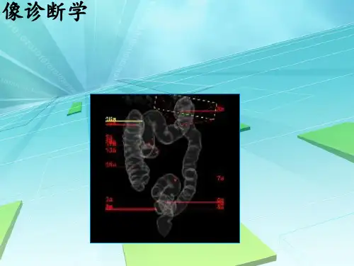 《肿瘤影像诊断学》PPT课件