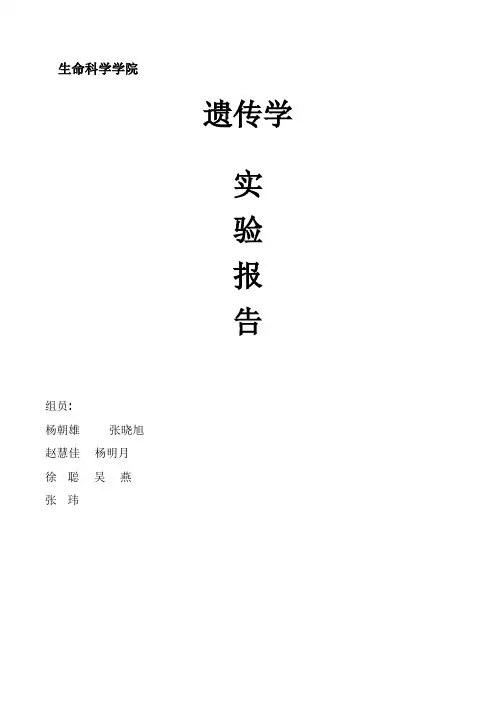 果蝇综合大实验