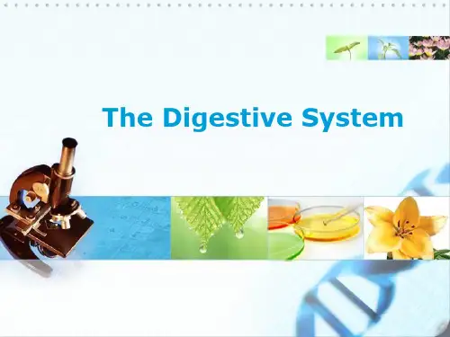 医学专业英语unit 6 digestive