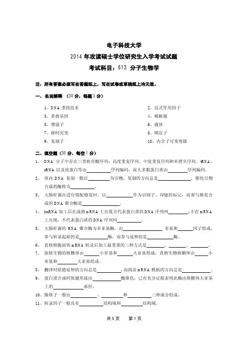 2014年电子科技大学613分子生物学考研真题