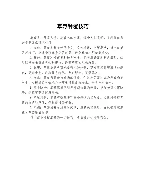 草莓种植技巧