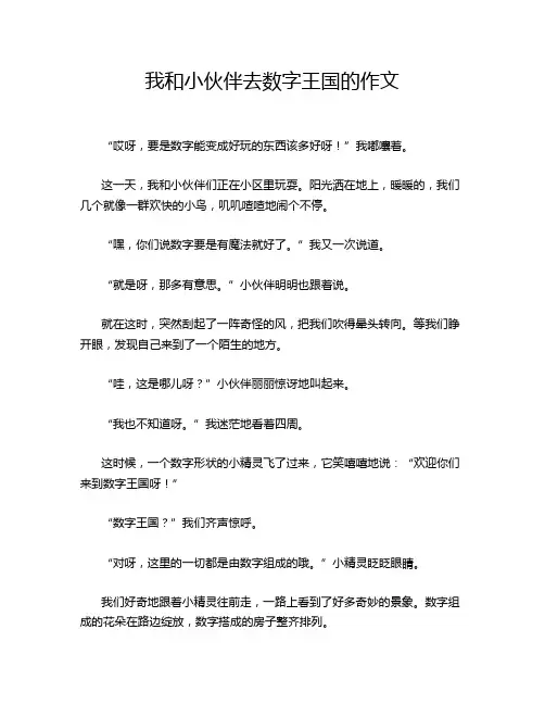 我和小伙伴去数字王国的作文