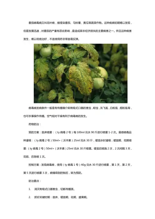 番茄病毒病用什么药好