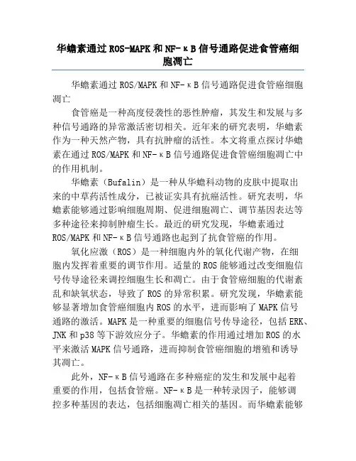 华蟾素通过ROS-MAPK和NF-κB信号通路促进食管癌细胞凋亡