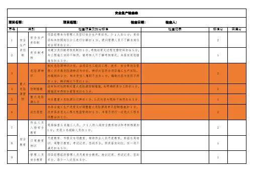 项目安全生产检查记录表内容