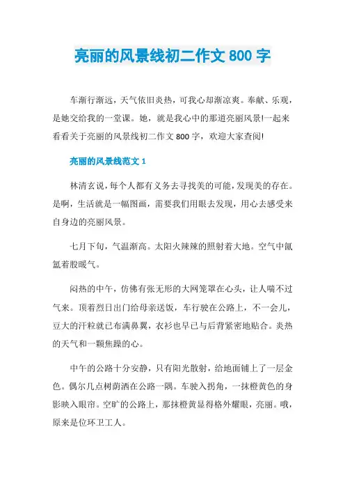 亮丽的风景线初二作文800字