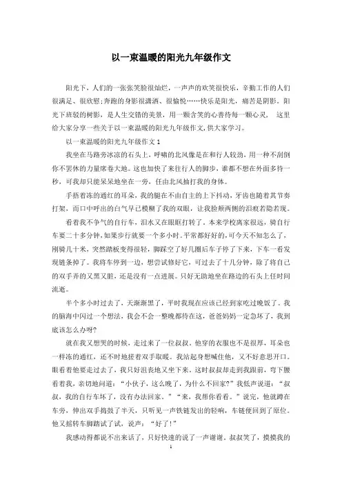 以一束温暖的阳光九年级作文