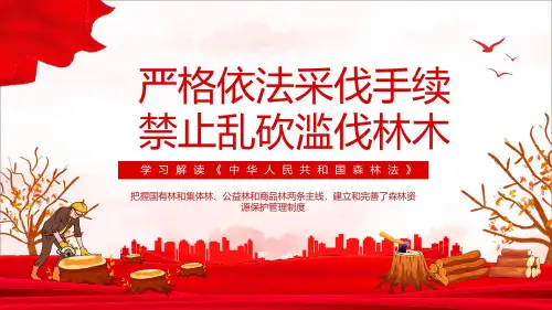 全文图解《森林法》最新解读PPT