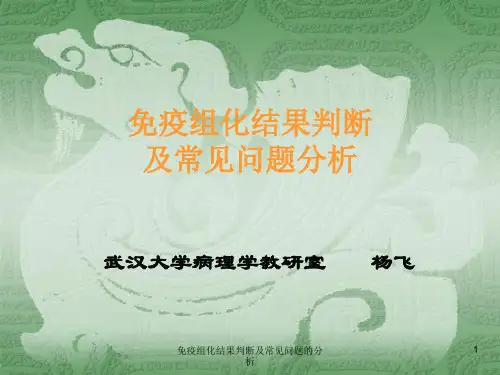 免疫组化结果判断及常见问题的分析ppt课件
