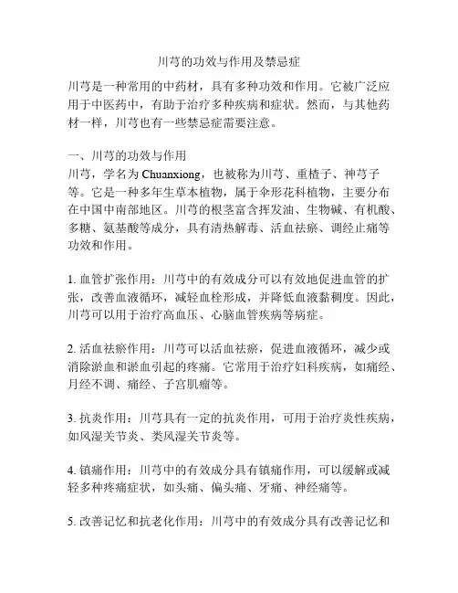 川芎的功效与作用及禁忌症
