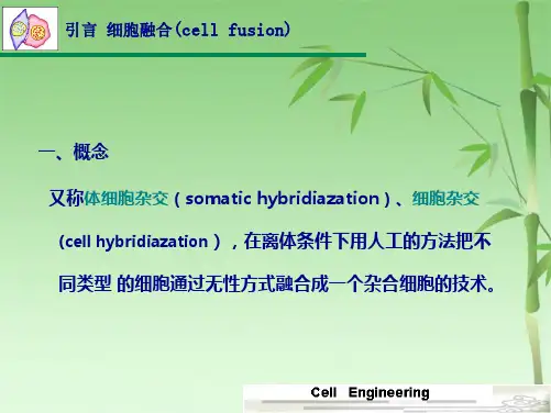 第5章细胞融合与单克隆抗体(共114张PPT)