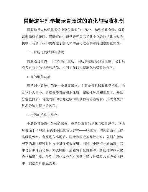 胃肠道生理学揭示胃肠道的消化与吸收机制