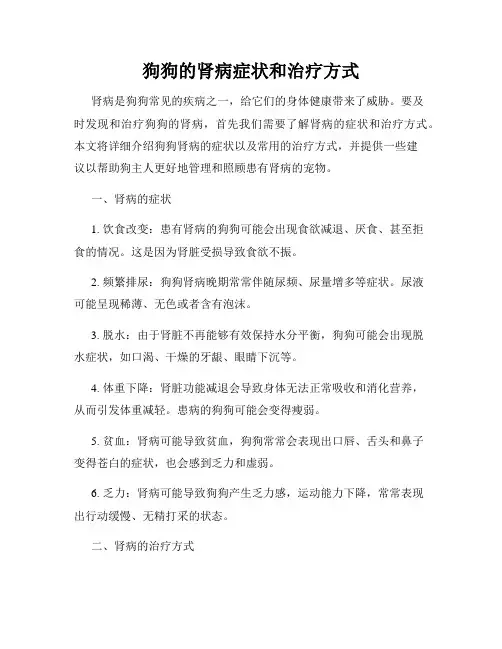 狗狗的肾病症状和治疗方式