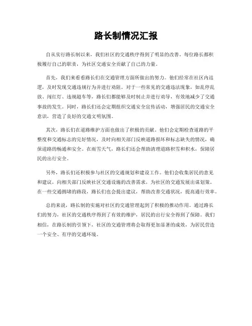 路长制情况汇报