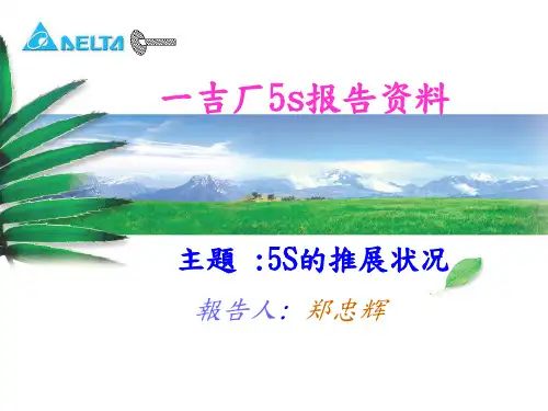5S报告