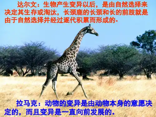 达尔文和他的“进化论[1].ppt122