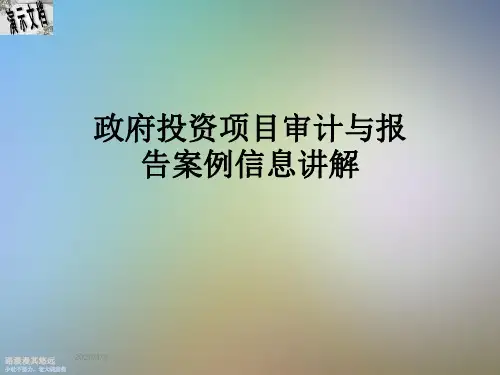 政府投资项目审计与报告案例信息讲解