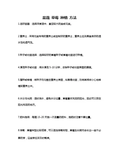 盆栽 草莓 种植 方法