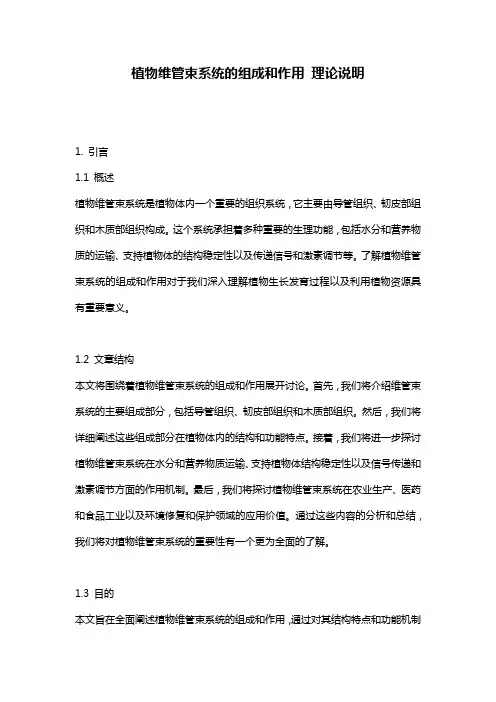 植物维管束系统的组成和作用_理论说明