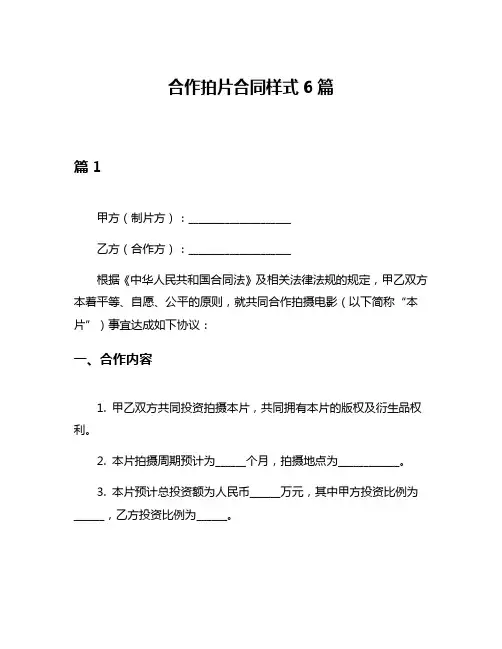 合作拍片合同样式6篇