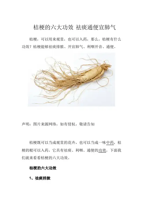 桔梗的六大功效 祛痰通便宣肺气