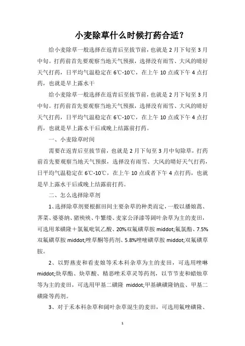 小麦除草什么时候打药合适？