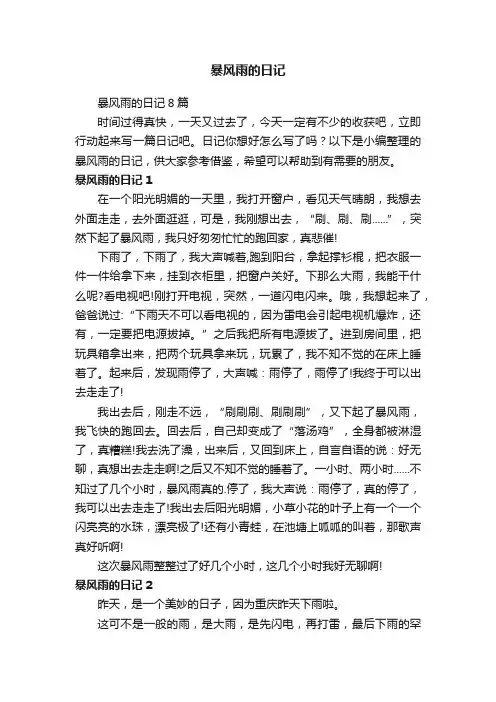 暴风雨的日记