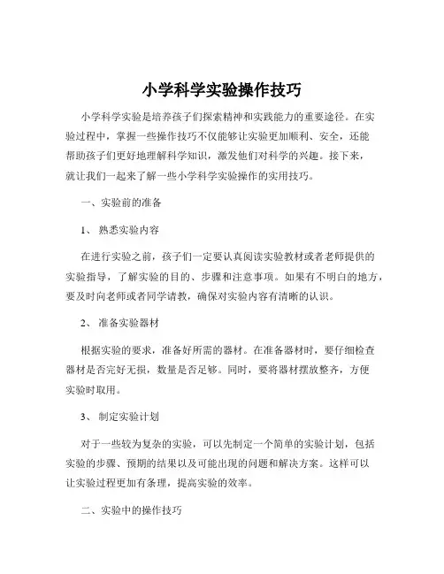 小学科学实验操作技巧
