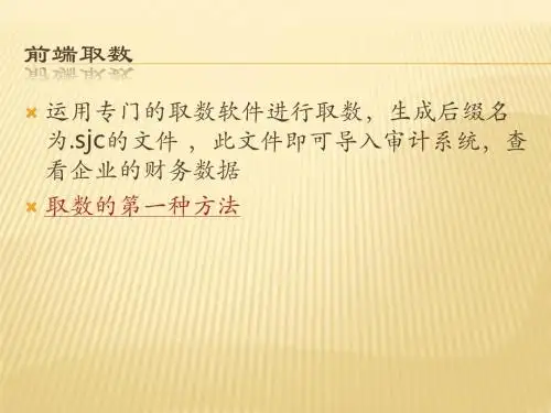 鼎信诺审计软件的四种取数方法课件