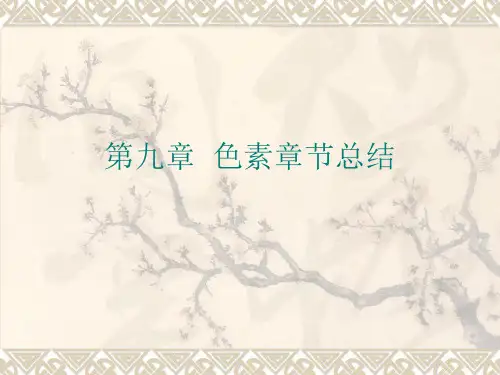 食品化学-色素章节总结