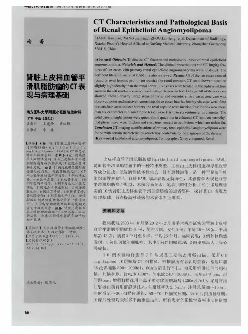 肾脏上皮样血管平滑肌脂肪瘤的CT表现与病理基础