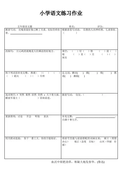 小学五年级语文练习作业16