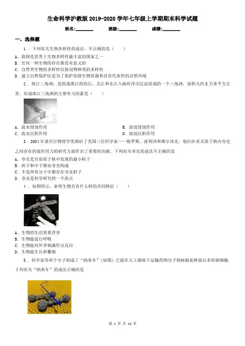 生命科学沪教版2019-2020学年七年级上学期期末科学试题(练习)