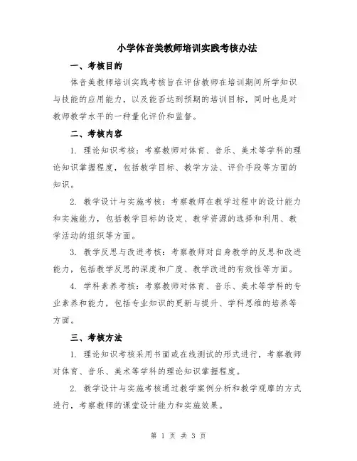 小学体音美教师培训实践考核办法